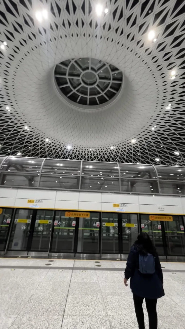 Olhos de Shenzhen e Outras Obras Impressionantes