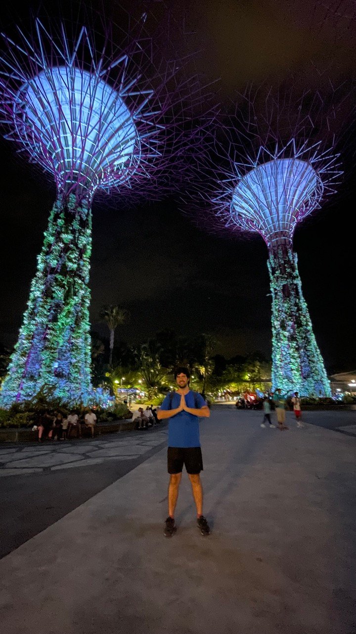 Gardens by the Bay iluminado à noite em Singapura
