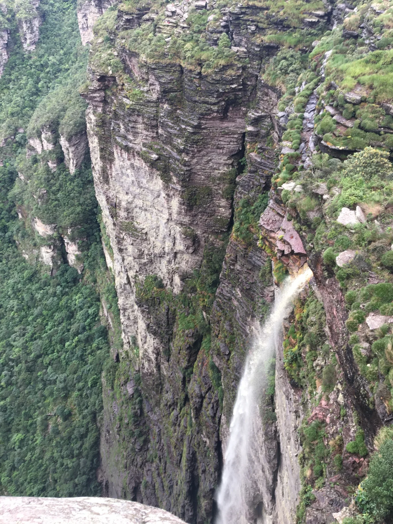 Cachoeira da Fumaça: A Queda d'Água Mais Alta do Brasil