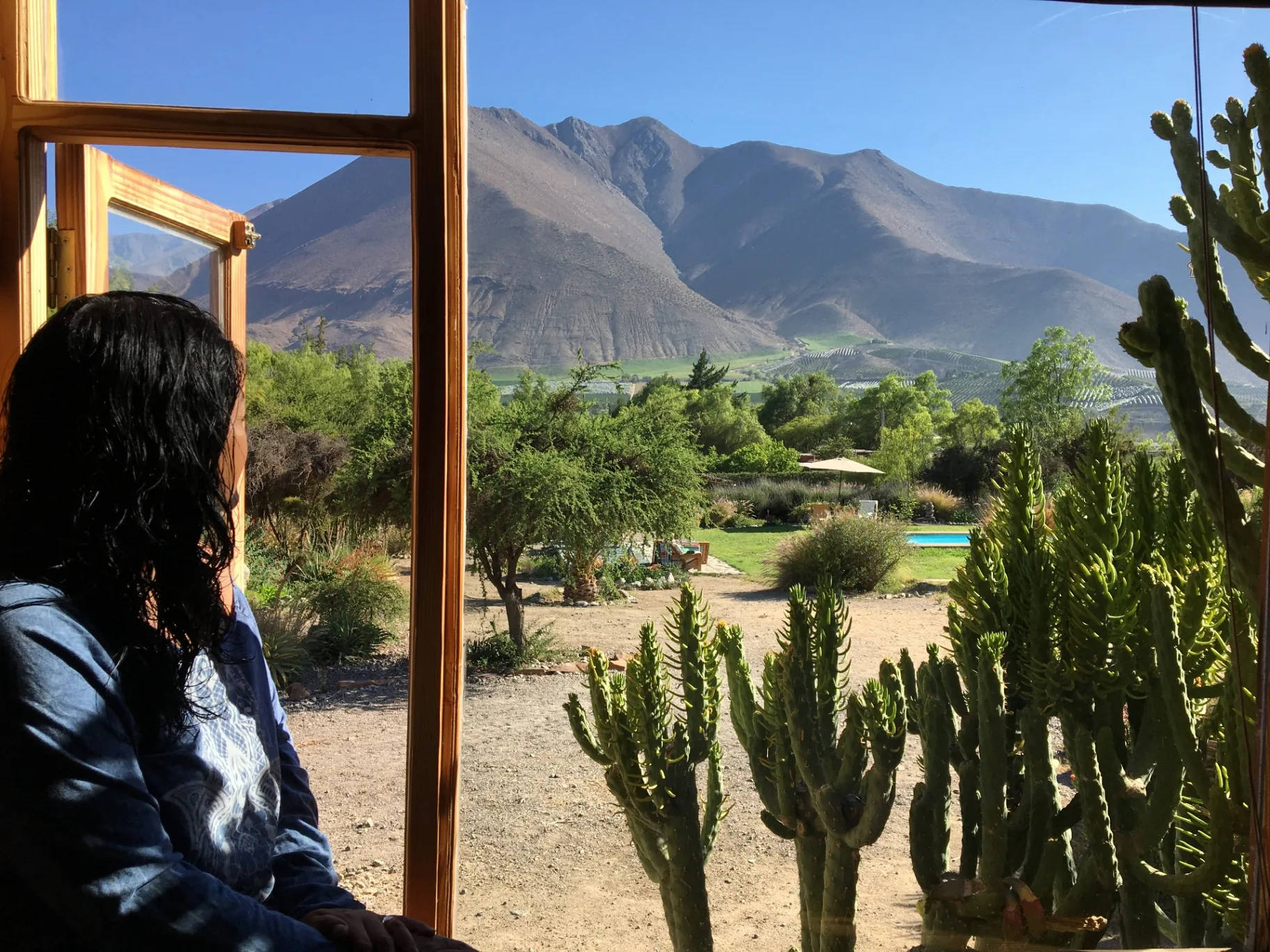 Vale de Elqui: Estrelas e Vinhos no Chile